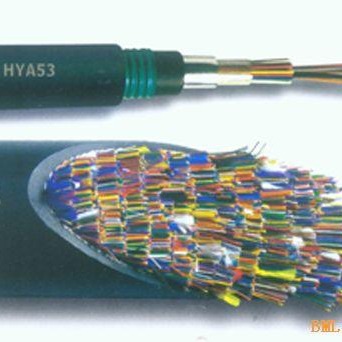 HYA22 50*2*0.5 HYA53多芯铠装充气通讯电缆 HYV电话电缆HYAT