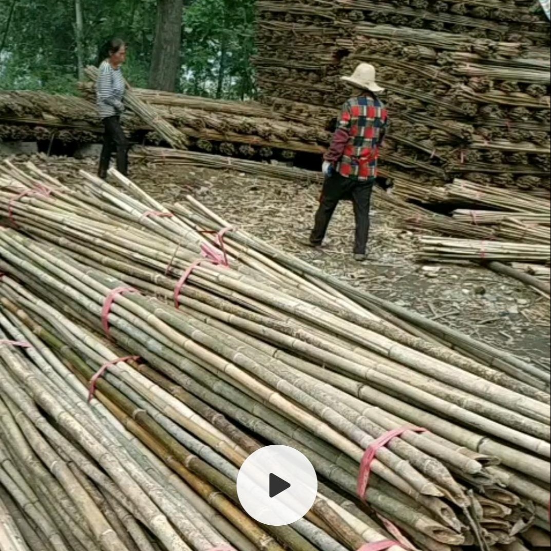 湖北2-3米山竹杆  农用2.2米2.8米菜架竹 温棚竹杆批发