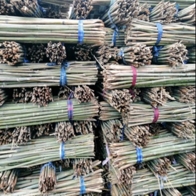 京西竹业 厂家直销绑扶矮化密植型苹果树专用优质4米小竹竿 供应陕西子长图片
