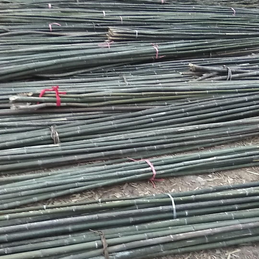 至诚平价毛竹交易中心各种规格竹杆批发2-4米 4-9米竹杆