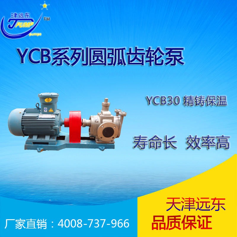 天津远东泵业齿轮泵 YCB30不锈钢保温圆弧齿轮泵 膏体灌装机不锈钢齿轮泵 大流量进口不锈钢齿轮泵 小流量不锈钢齿轮泵