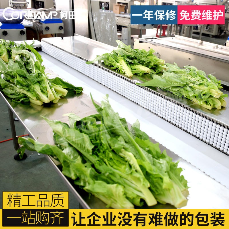 广州江南蔬果批发市场-蔬菜包装机械-佛山包装设备厂家