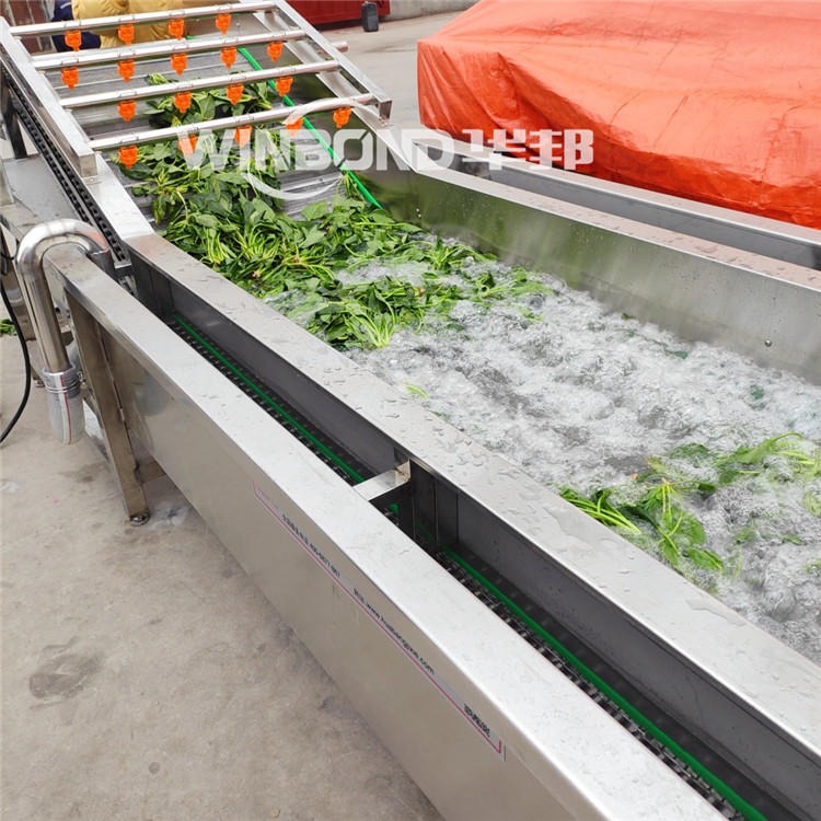 冰鲜桑叶菜漂烫冷却机 2021桑叶菜加工设备 桑叶菜生产成套流水线图片