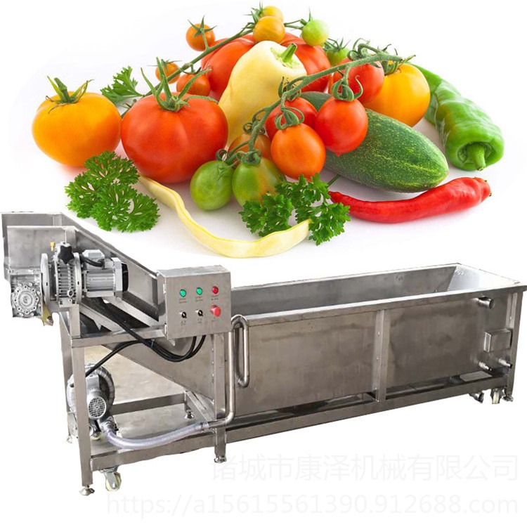 专业供应康泽SZ3000型全自动喷淋毛豆清洗机 气泡蔬菜清洗机