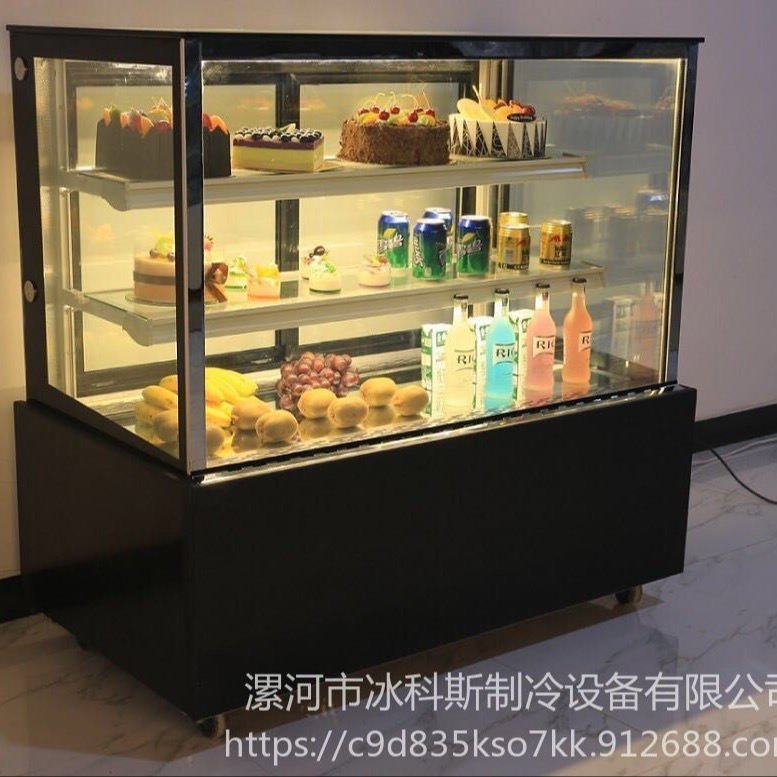 蛋糕柜展示柜 商用小型前后开门保鲜柜  立式风冷冷藏柜  工厂直供 未来雪冷柜WLX-DGG-109