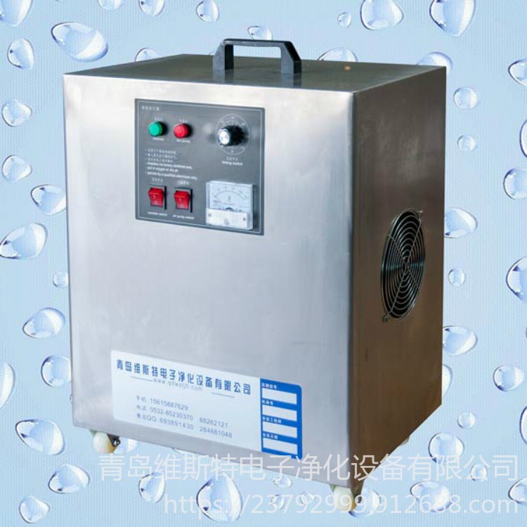 益阳臭氧发生器 一体机臭氧发生器 小型臭氧发生器维斯特图片