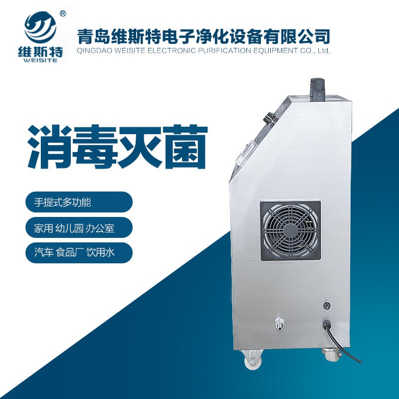 代加工臭氧发生器 SW-004-10g臭氧发生器 厂家批发-维斯特品牌