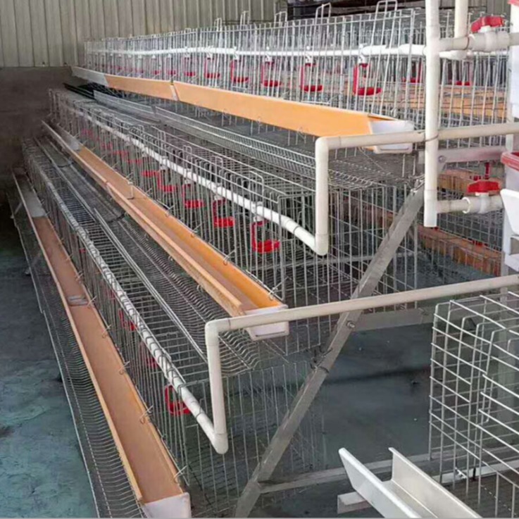厂家直销阶梯立体式蛋鸡笼批发 蛋鸡笼价格图片