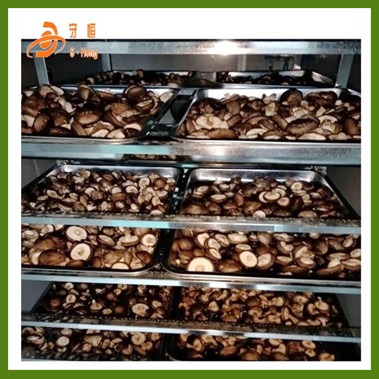 大型香菇干燥设备 食用菌香菇干燥机设备厂家 香菇烘干机价格