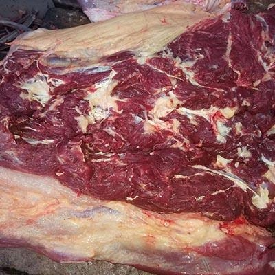 大量供应精品蒙古马肉进口马肉草原特色蒙古马肉