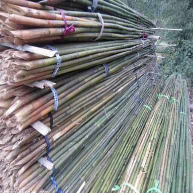 京西竹业厂家直销天津抗风防寒4米竹竿 支撑竹杆图片