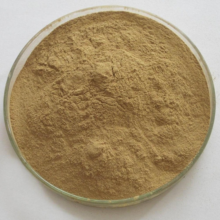 燕麦芽粉  炒燕麦芽提取物 速溶粉 燕麦苗提取物 燕麦苗粉