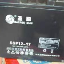 圣阳蓄电池SSP12-17 铅酸系列 圣阳电池12V17AH 直流屏UPS电瓶EPS专用质保三年