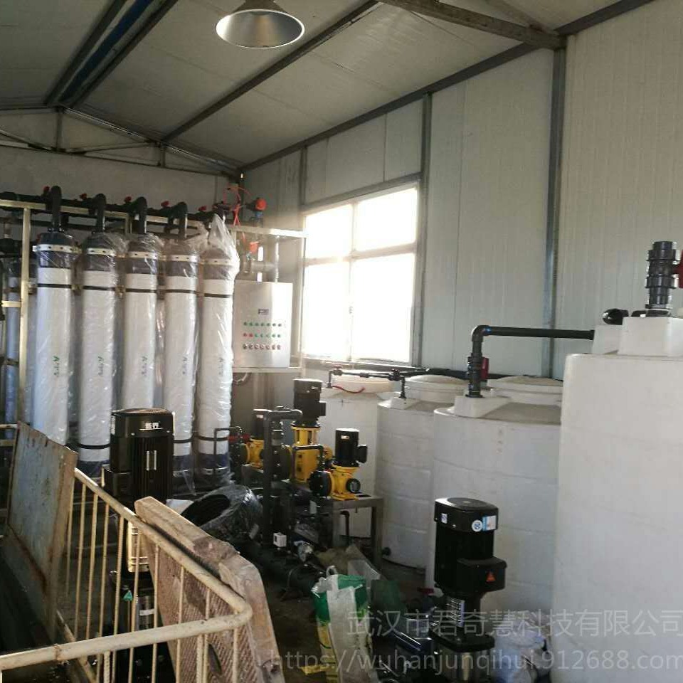 湖北武汉RO反渗透 水处理设备  双级反渗透纯水设备图片