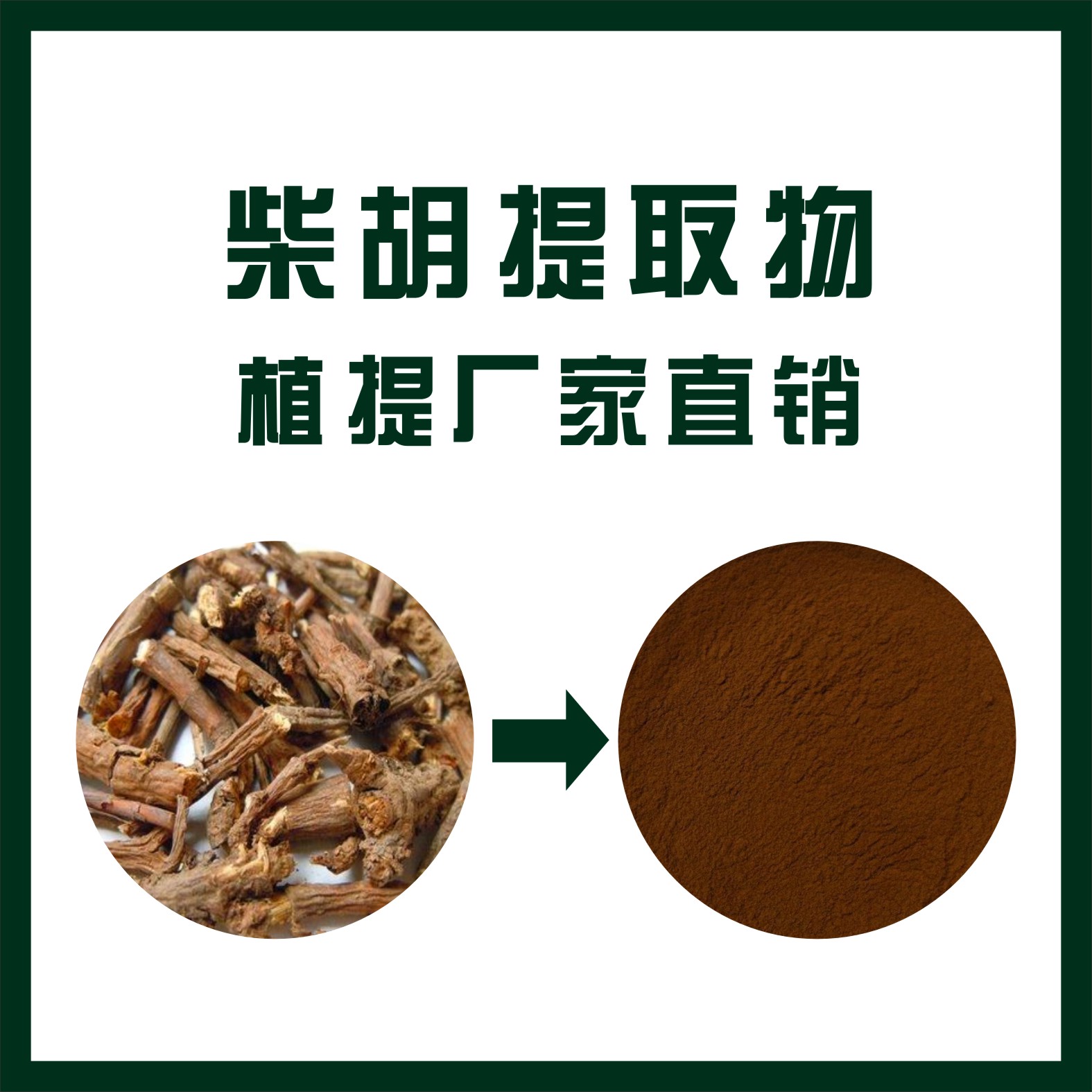 柴胡皂甙  柴胡粉生产厂家  植物提取物 天域生物