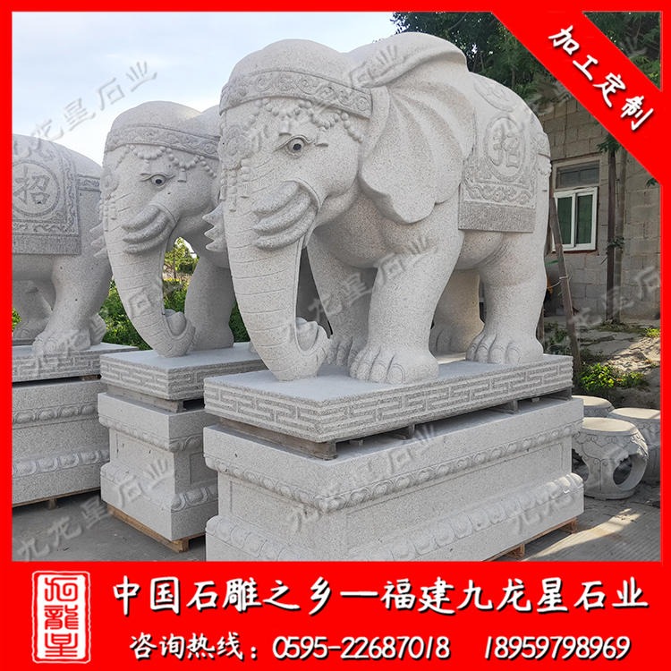 门口石雕大象摆放 花岗岩雕刻大象 石大象厂家 九龙星石业图片