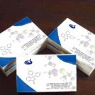 人神经营养因子4试剂盒 NT-4试剂盒 神经营养因子4ELISA试剂盒 厂家直销图片