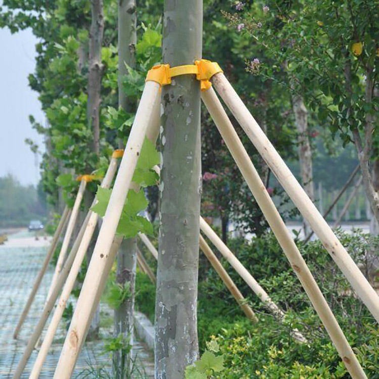 厂家供应塑料套杯保护支架 树木固定支架 防倒支架 一匡销往珠江