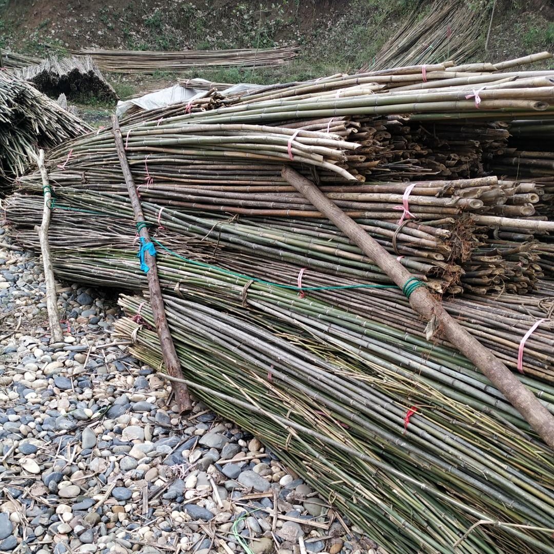 湖北竹竿批发市场 提供各种规格粗细竹竿子 菜园搭架