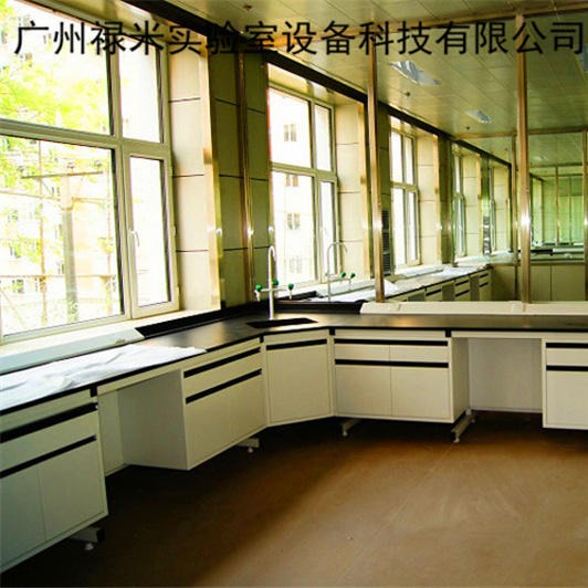 禄米实验室 化学实验工作台 钢木实验台 实验室家具 化学实验台桌柜 厂家定制直销 LM-SYT10812