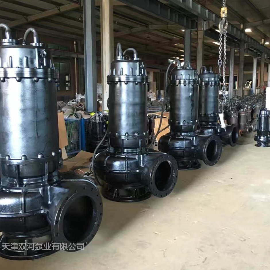 双河泵业厂家供应优质的切割式排污泵  污水处理用泵   切割式污水泵型号 250WQ500-5-15 厂区防汛泵