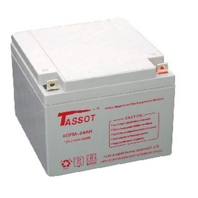 TASSOT泰斯特蓄电池12V24AH 泰斯特6GFM12-24AH铅酸免维护蓄电池 UPS电源 EPS电源图片
