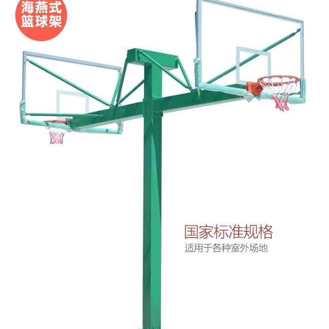 成人篮球架 户外海燕式篮球架 辽宁省沈阳市 龙泰体育 销量过百图片