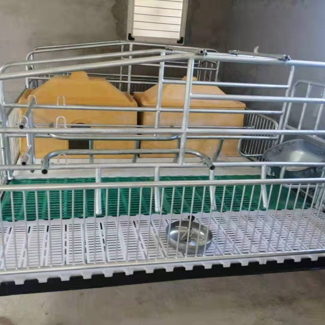 厂家专业定制，亚冠畜牧yg-1，带保温箱的母猪产床，球磨铸铁母猪产床