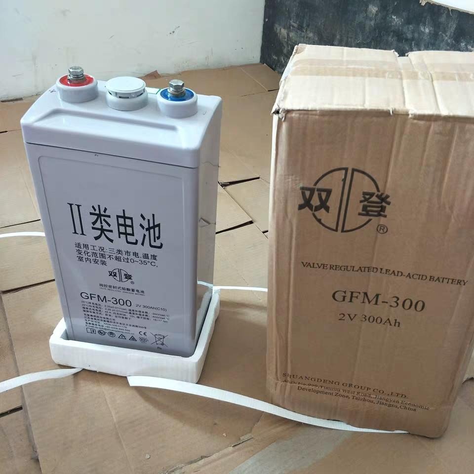 双登蓄电池GFM-200 双登2v200ah机房ups电源蓄电池船舶基站专用电池