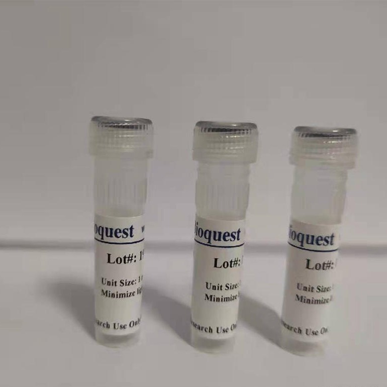 AAT Bioquest 比色法细胞内脂质氧化损伤(MDA)检测试剂盒 货号15991