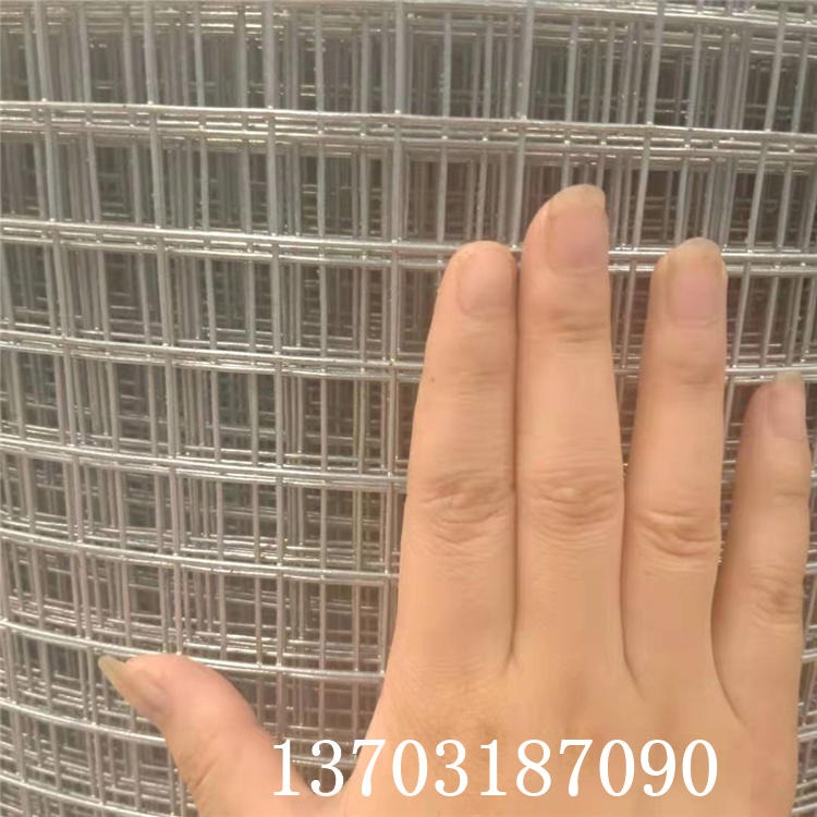 龙润热镀锌1/2 1/4 1寸电焊网 焊接铁丝网 铁丝方孔网 养殖铁丝网