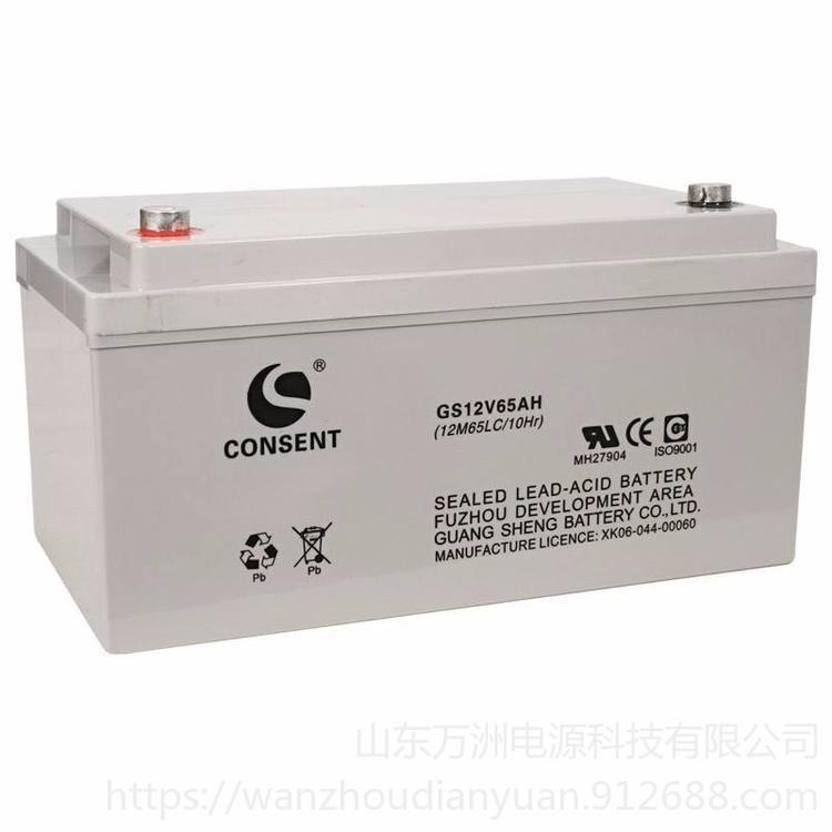 光盛蓄电池12V65AH  光盛电池GS12V65AH 直流屏UPS/EPS专用电池