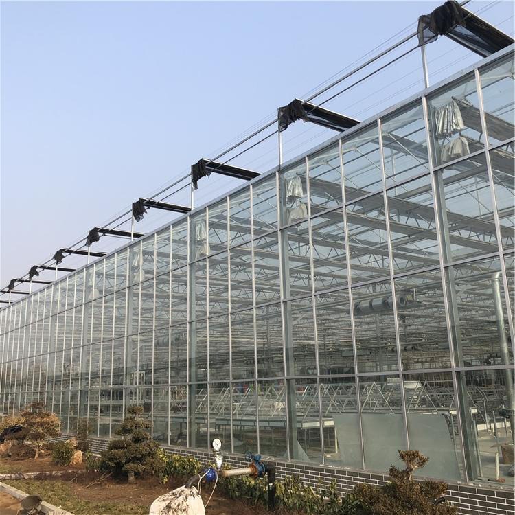 蔬菜玻璃温室设计  温室大棚  种植育苗玻璃温室 青州博伟  欢迎致电