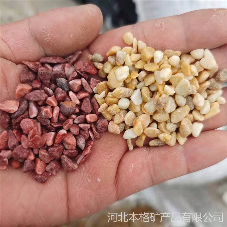 米黄水洗石5-8mm 中国黄水洗石 黄色石子 黄色胶粘石 米黄色透水路骨料 本格厂家供应