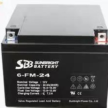 圣豹SBB蓄电池6-FM-24 圣豹电池12V24AH参数 圣豹蓄电池价格 质保三年 包邮 UPS电源 直流屏专用图片