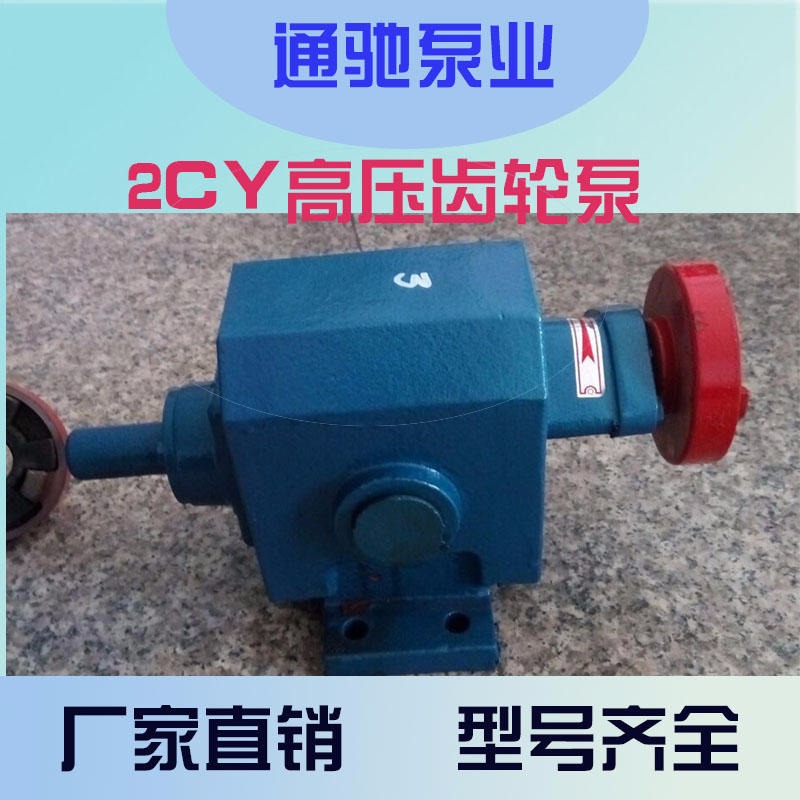 泊头油泵厂家直销各式抽油泵 2CY高压齿轮泵 定做齿轮油泵
