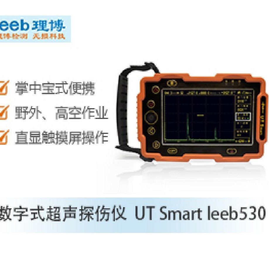 理博UT Smart leeb530  数字式超声探伤仪  郑州金属超声波探伤仪