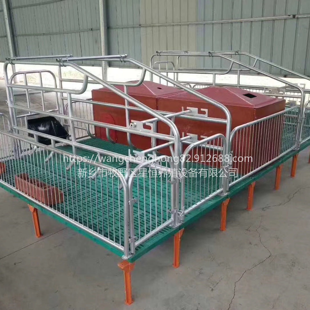 星恒机械双体产床定位栏复合板限位栏猪养殖场保育床养殖设备母猪栏位产床包邮猪床