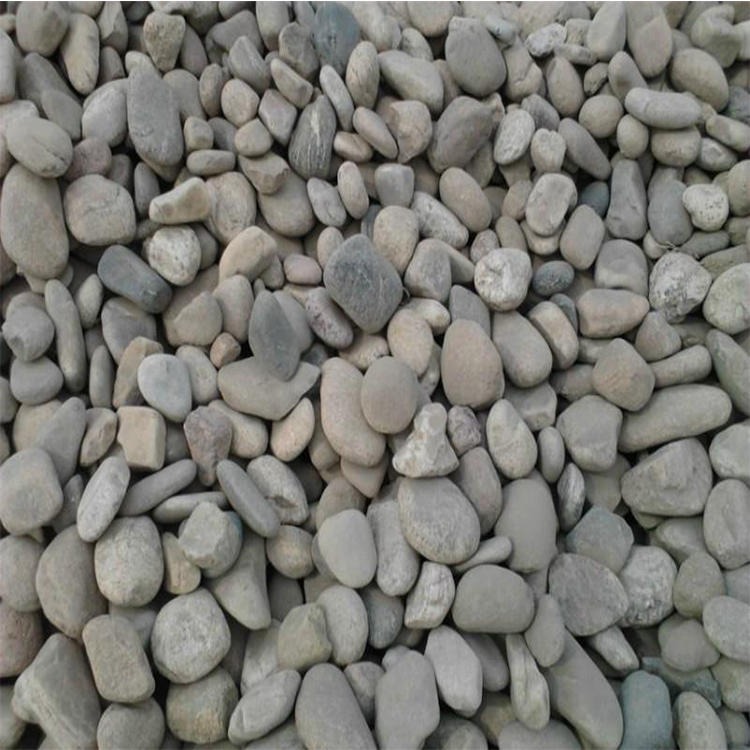 厂家供应 河南瑞思鹅卵石加工 园林绿化专用鹅卵石 鹅卵石批发