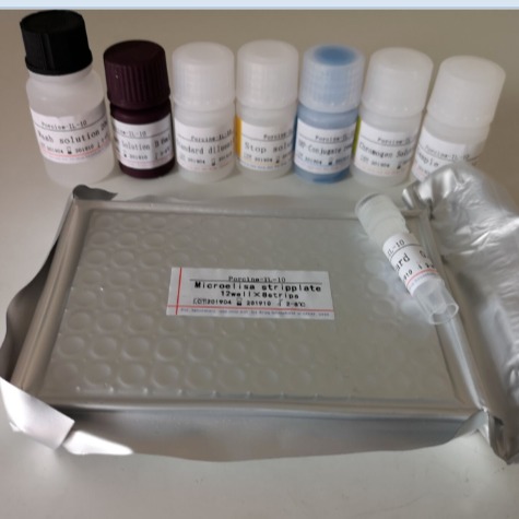 ELISA试剂盒 大鼠白介素1(IL-1)ELISA试剂盒 慧嘉生物图片