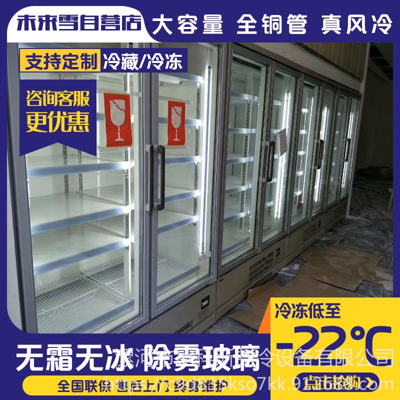 冰科斯-WLX-LSLD-10超市冷藏冷冻子母柜 立式展示冷冻柜 节能省电水饺冷冻