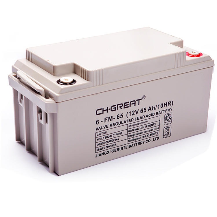 CH.GREAT蓄电池6-FM-65 12V65AH直流屏 UPS电源配套 精密仪器图片