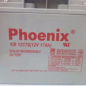 Phoenix凤凰蓄电池12V17ah 应急消防直流屏UPS专用蓄电池 凤凰BK12170 铅酸免维护蓄电池 凤凰蓄电池