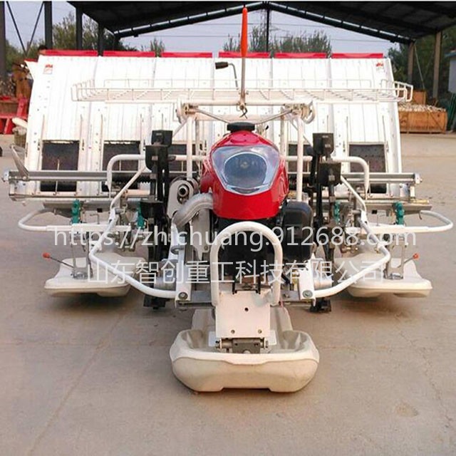 智创ZC-1 半机动水稻插秧机  半机动水稻插秧机农机设备