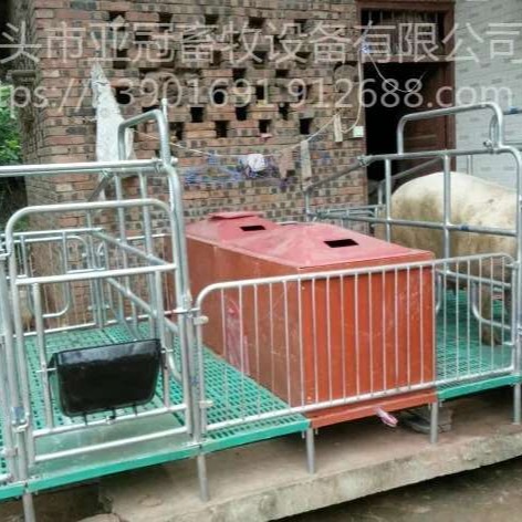 订制亚冠畜牧  复合板母猪产床   yg-01   新型猪用  双体母猪产床实时报价