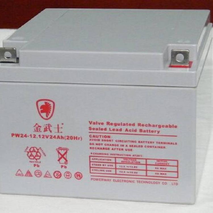 金武士蓄电池PW24-12 12V24AH免维护直流屏蓄电池 UPS应急电源专用 现货供应批发价格