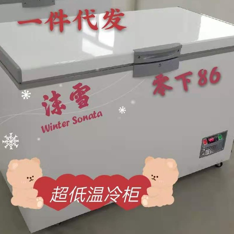 沫雪BD-80W258零下80度超低温冷柜 速冻超大型冰箱持久保鲜