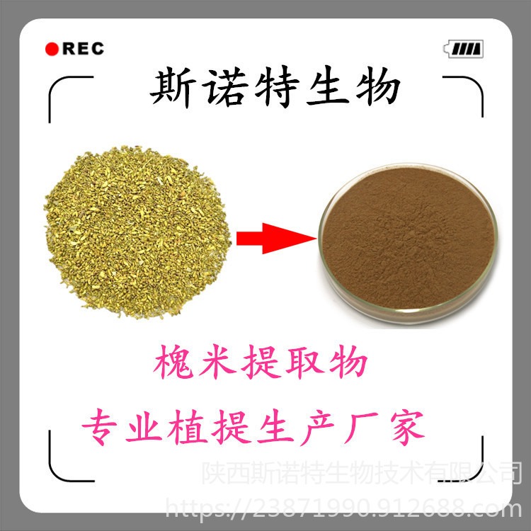 槐米粉 槐米提取物 槐米速溶粉 槐米芦丁 规格95% 斯诺特生物