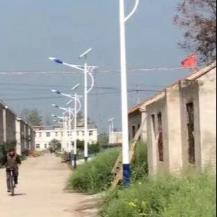 晟迪照明 太阳能路灯 新农村建设太阳能路灯 太阳能路灯厂家直销