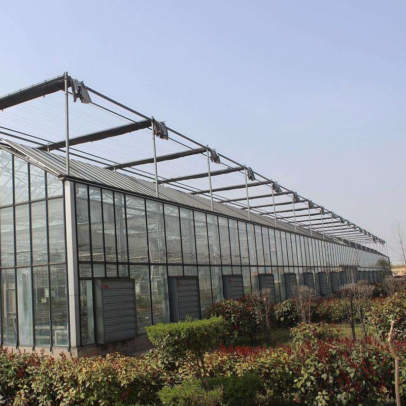 博伟 玻璃温室 智能玻璃温室 盆景玻璃温室大棚建设
